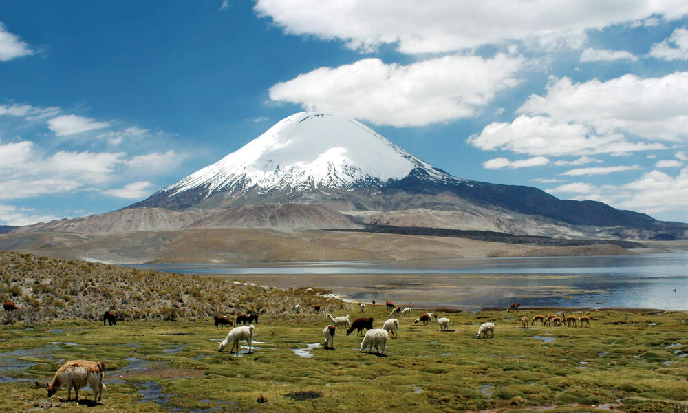 Lauca National Park