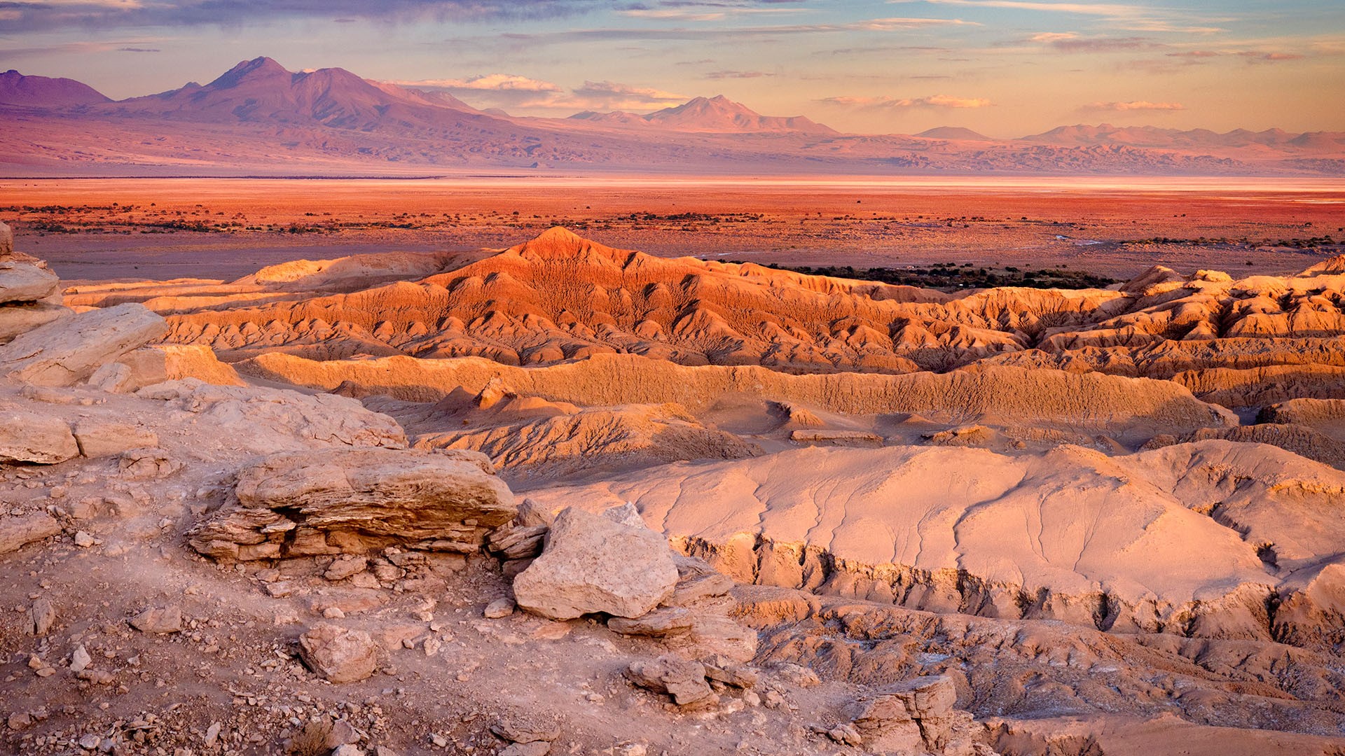 Valle De la Luna and the Atacama Desert